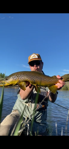 Rock Creek Fishing Report 9/2/26