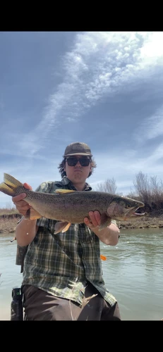 Blackfoot River Fishing Report 9/11/26
