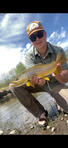 Rock Creek Fishing Report 8/26/26