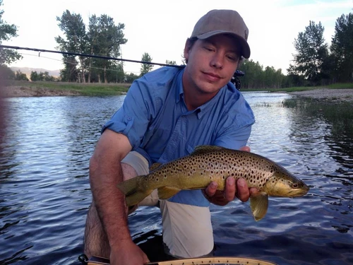 Clark Fork River Fishing Report  8/19/26