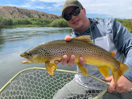 Bitterroot River Fishing Report 6/10/26