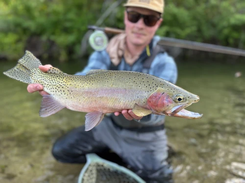 Blackfoot River Fishing Report 10/12/26