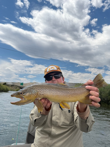 Blackfoot River Fishing Report 9/2/26