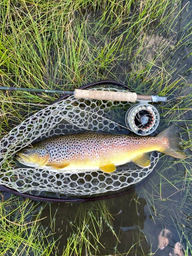 Clark Fork River Fishing Report  9/21/26