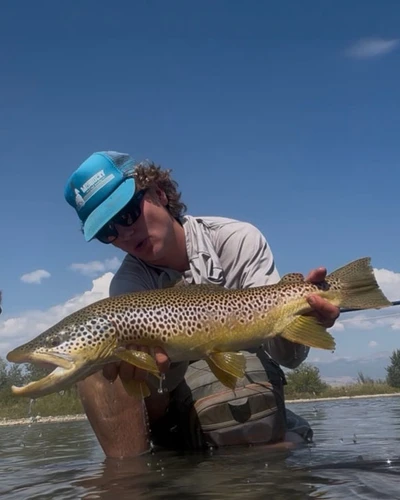Bitterroot River Fishing Report 9/16/26