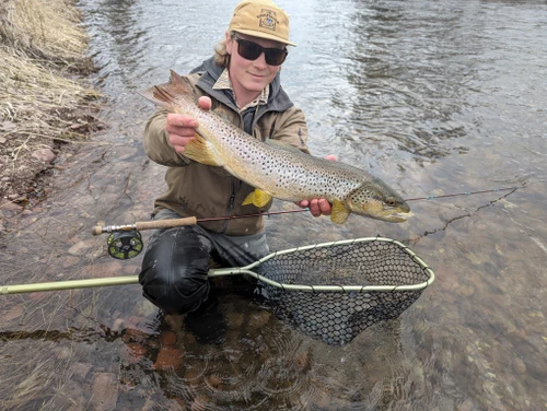 Bitterroot River Fishing Report 5/4/26