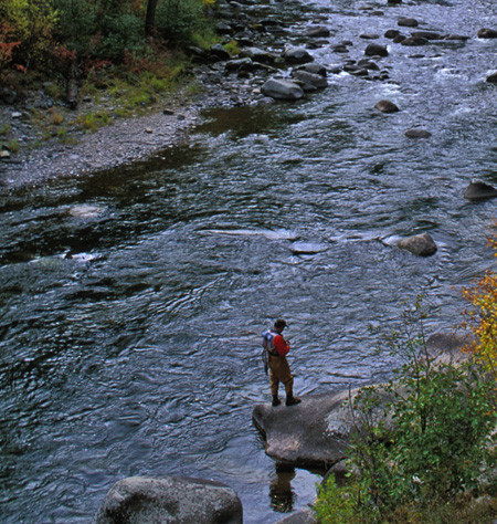 Clark Fork River Fishing Report  6/3/26