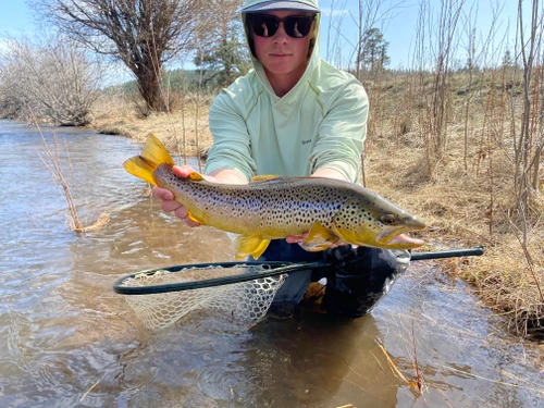 Bitterroot River Fishing Report 8/24/26