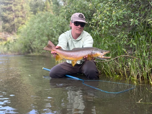 Blackfoot River Fishing Report 8/24/26