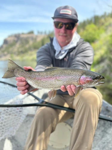 Clark Fork River Fishing Report  8/24/26