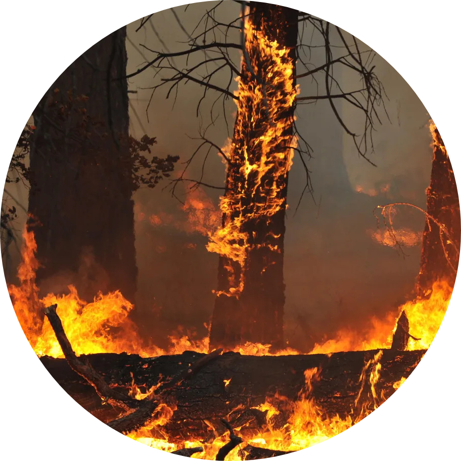 Montana Wildfire Map