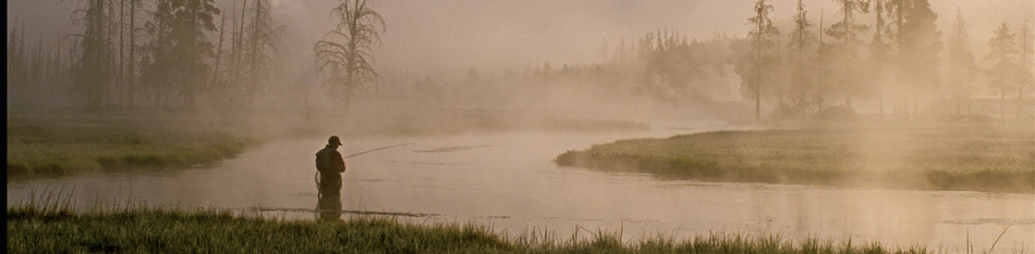 Dumbbell/Dumbbell Eyes
