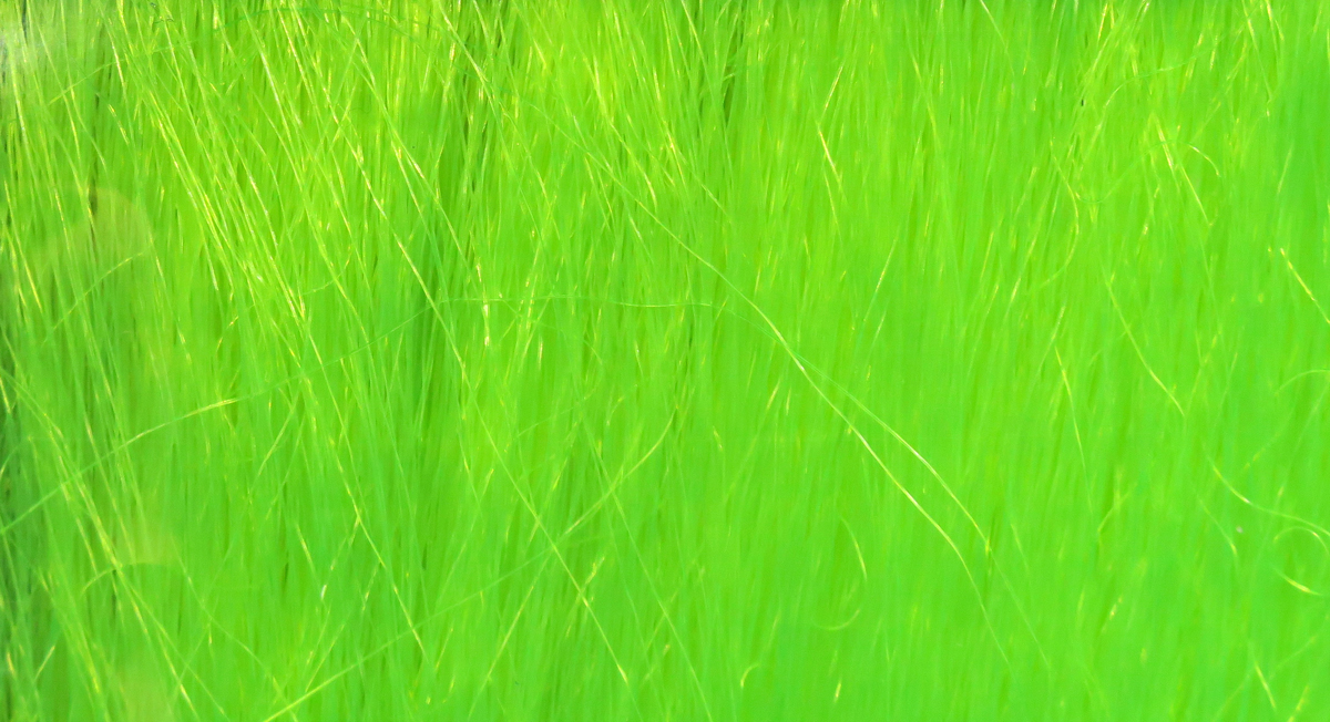 Chartreuse