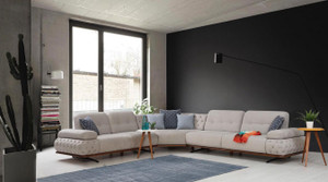 Nevrin L Functional Sectional  Nevrin L Functional Sectional