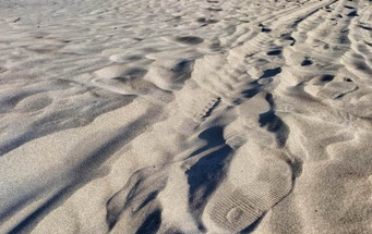 Decorating with a Fresh Coastal Look Decorating with a Fresh Coastal Look