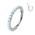 Titanium Opal Hinged Nose Hoop