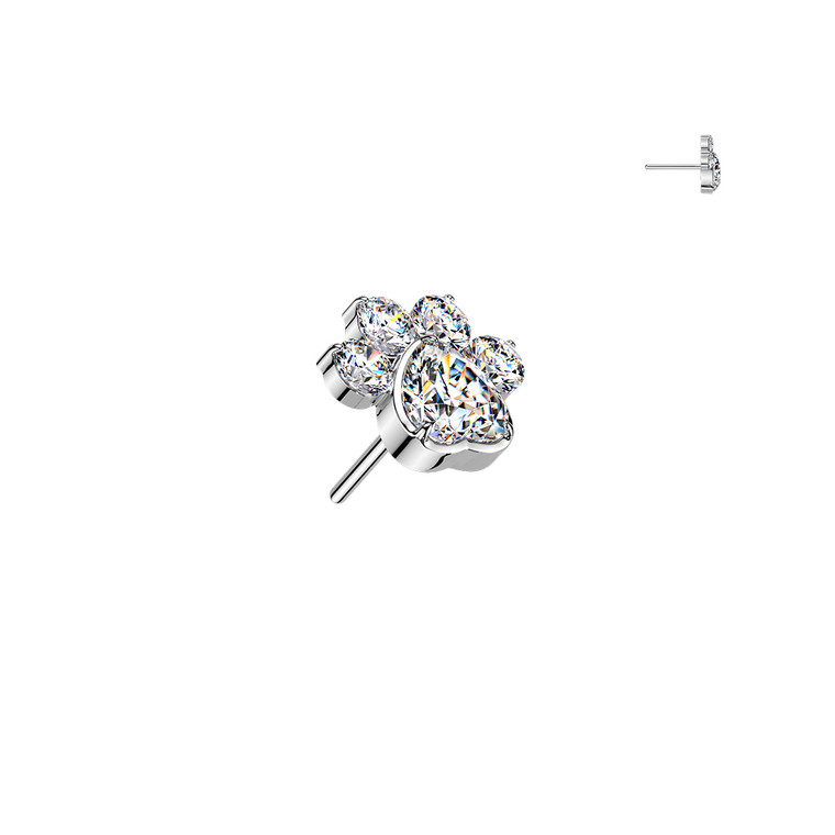 Threadless Paw Print