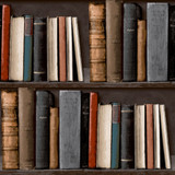 Library Book shelf wallpaper