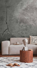 Concrete Wall 6 Mural