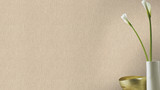 RY5443 Beige Textured Plain Wallpaper