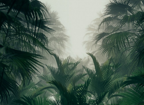 Misty Jungle mural