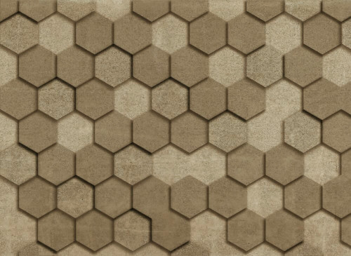 Hexagon Wall 2 Mural