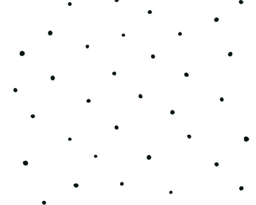 RW59381391A Black/White Spots