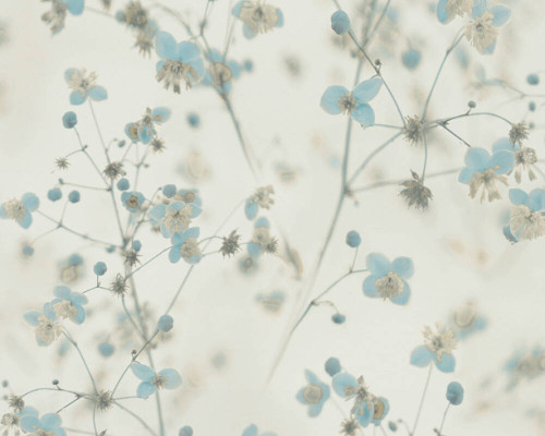 RW45387262A Small floral wallpaper