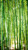 Bamboo Repeatable Mural