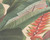 RW94351A Large Fern Leaf Wallpaper