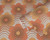 Floral retro Wallpaper RW1395393A