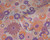 Floral retro Wallpaper RW1395351A