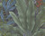 RW96471A Jungle Wallpaper