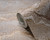 RW96592A Stone Effect Wallpaper