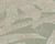 RWJ95012A Palm Leaf Wallpaper