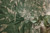 Leaf  Wallpaper RW4782036A