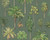 RW3791712A Green Palm Tree Wallpaper