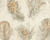 RW3791865A Feather Wallpaper