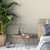 RW7199503G Cream Textured plain Wallpaper