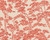 RW7790014A Coral Zen branches Wallpaper