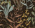 RW7790094A Black Botanical Wallpaper
