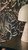 RW7790094A Black Botanical Wallpaper