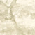 RW7792004A Green Tree Wallpaper