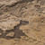 RW7791991A Brown Natural Stone effect Wallpaper
