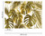 Palm Leaves 2 Mural