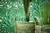 RW6733 Green Palm Leaves Wallpaper