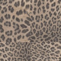 Animal Print