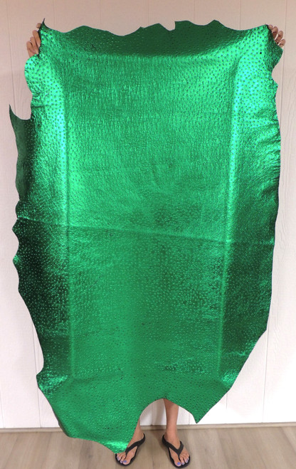 METALLIC GREEN OSTRICH Cowhide Leather for Purses Chaps Wallets Bracelets Earrings Journal Covers Crafts Upholstery 5-57