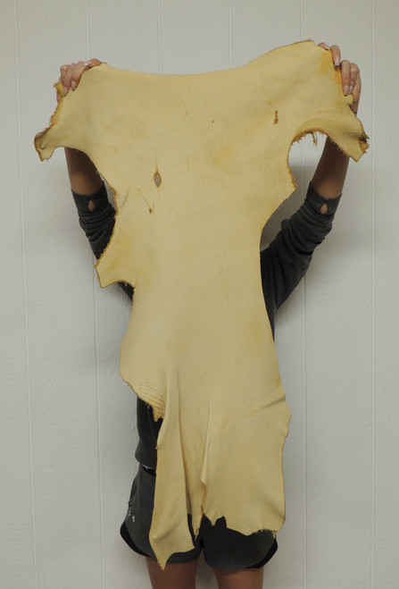 5-6 oz. Full Grain ELK Leather Hide for Native American SASS Cowboy Crafts Moccasins Buckskins Pouches Indian Art Laces Taxidermy ep-18