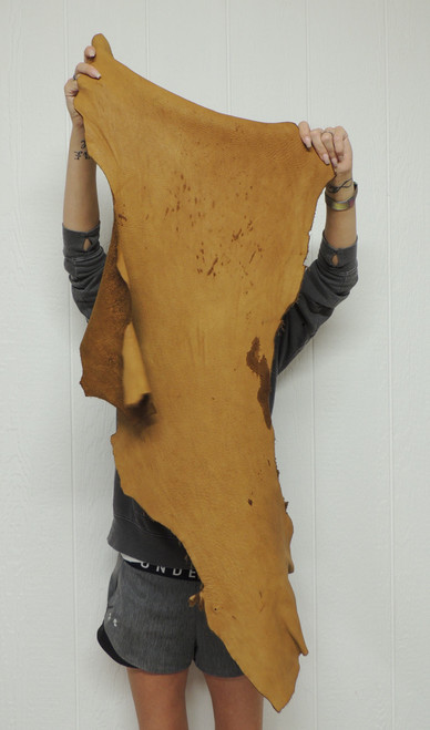 5-7 oz. Full Grain ELK Leather Hide for Native American SASS Cowboy Crafts Moccasins Buckskins Pouches Indian Art Laces Taxidermy ep-38